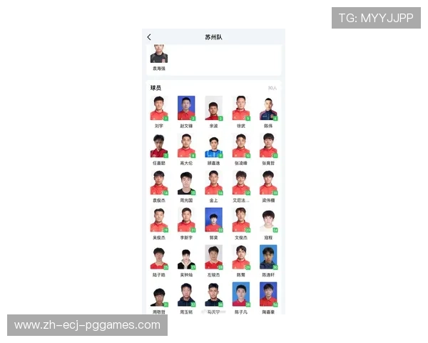 江苏队CBA球员名单与核心阵容战术分析