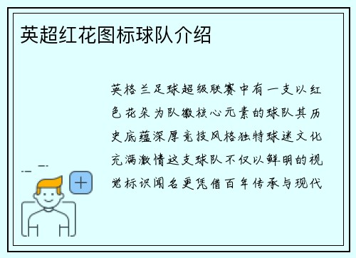 英超红花图标球队介绍