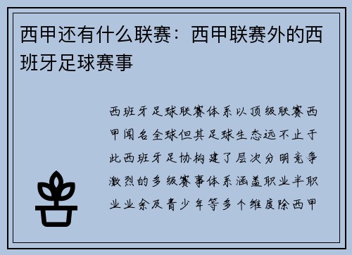 西甲还有什么联赛：西甲联赛外的西班牙足球赛事